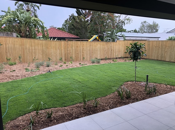 Laying of turf and landscaping Caboolture