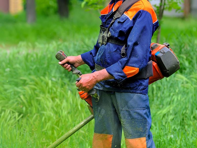 Weed eating - whipper snipper services